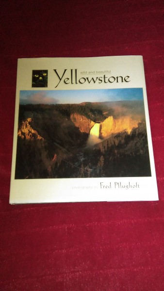 YELLOWSTONE - Wild and Beautiful