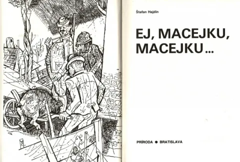 Ej, Macejku, Macejku. — fotka 2