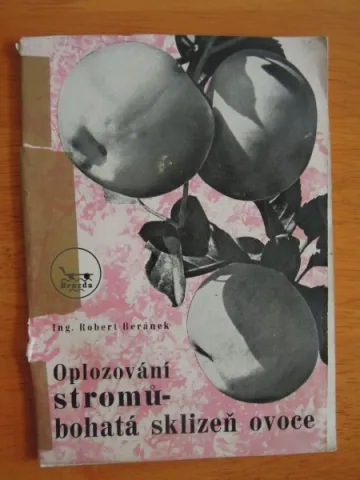 Oplozování stromů - bohatá sklizeň ovoce 1949