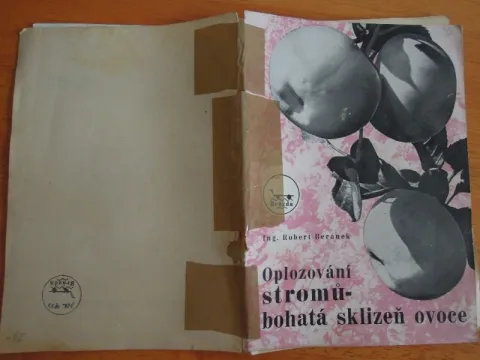 Oplozování stromů - bohatá sklizeň ovoce 1949 — fotka 4
