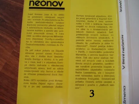 V tieni neónov — fotka 2