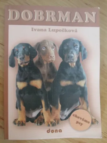 Doberman - dobrman