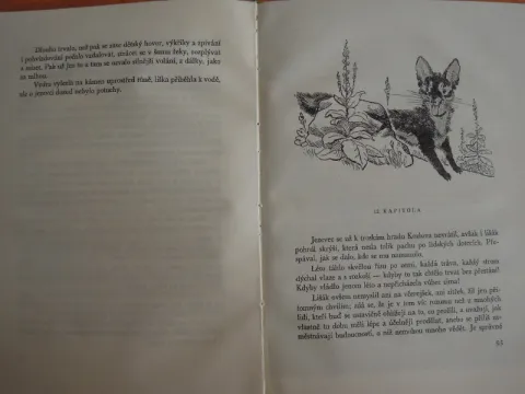 Potulný lovec 1950 — fotka 5