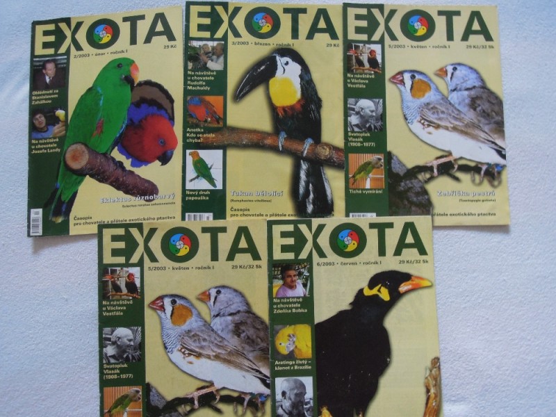 Exota