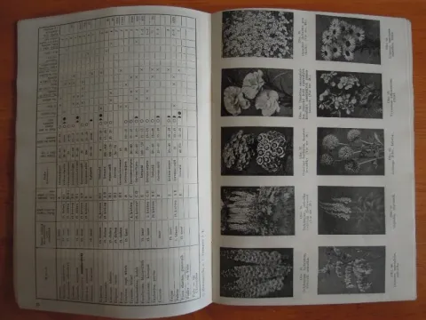 Rozšířený katechismus zahrádkáře 1948 — fotka 2