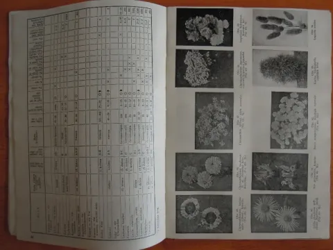 Rozšířený katechismus zahrádkáře 1948 — fotka 3