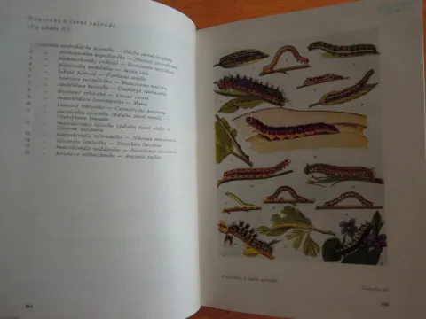 Rozšířený katechismus zahrádkáře 1948 — fotka 4