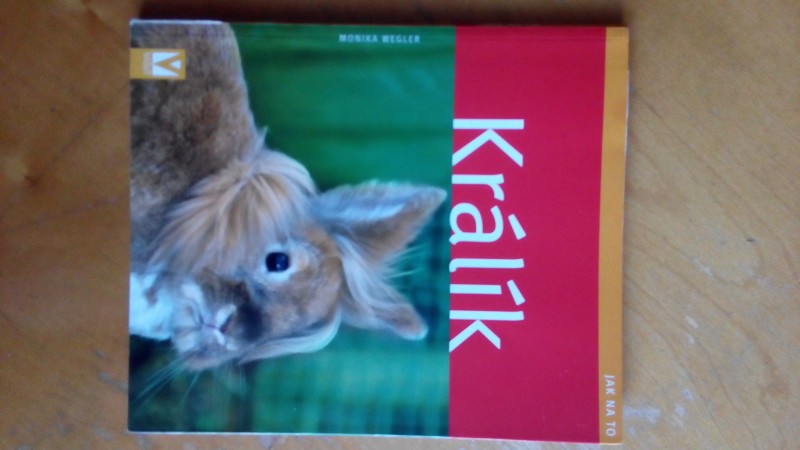 Králik