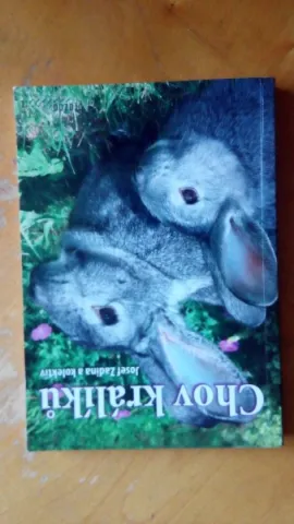 Chov králíků