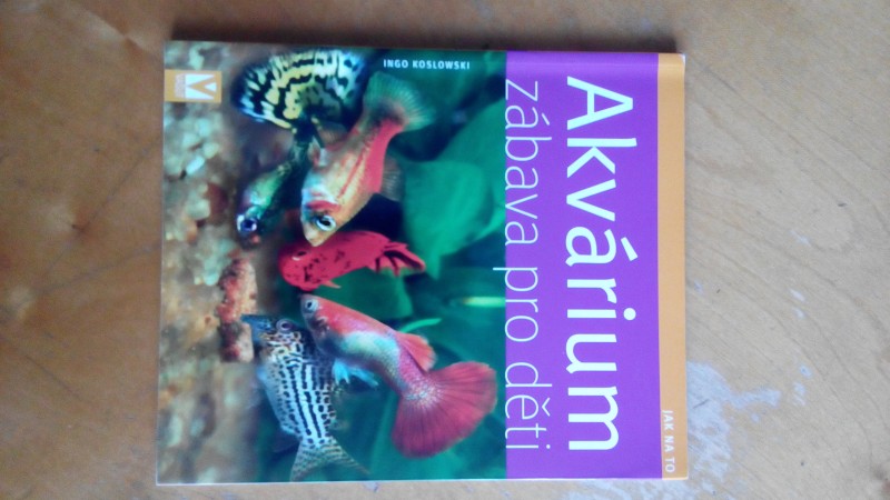 Akvárium zábava pro deti