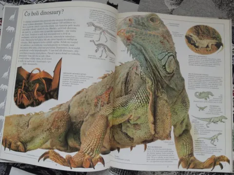 Dinosaury — fotka 4