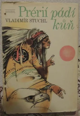 Prérií pádí kuň