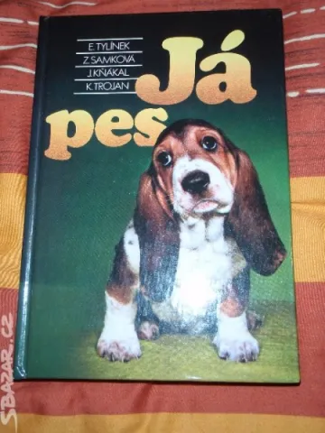 Ja pes