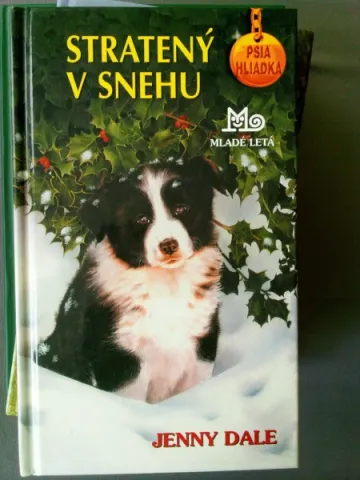 Stratený v snehu