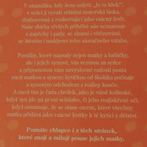 Slepičí polévka pro matku a syna — fotka 2