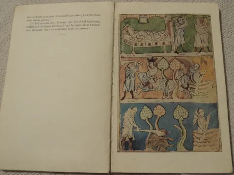 Román o Tristanovi a Izolde — fotka 5