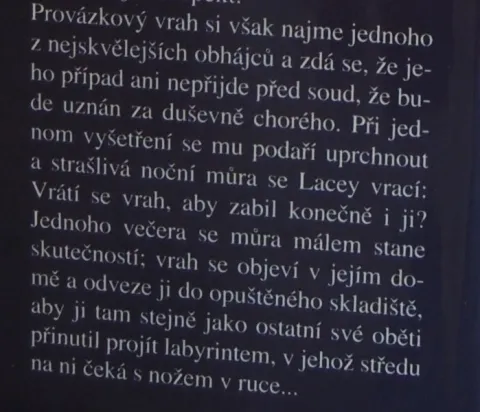 Bludiště — fotka 3