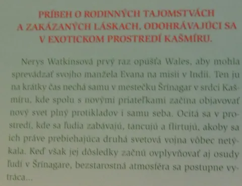 Kašmírový šál — fotka 2