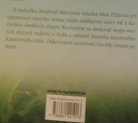 Kašmírový šál — fotka 3