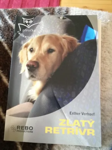 Zlatý Retrívr