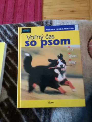 Voľný čas so psom