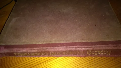 Tajomná smrť Oskara Horáka                