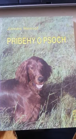 Príbehy o psoch