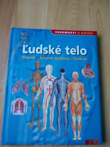 Vedomosti v kocke- Ľudské telo