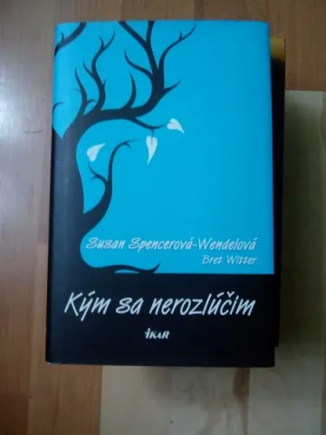 Kým sa nerozlúčim