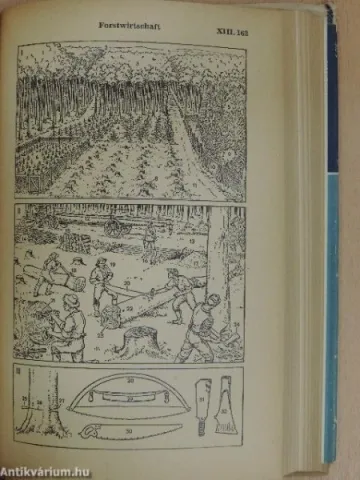 BILD-WöRTERBUCH 5X OBRÁZKOVÝ SLOVNÍK — fotka 2
