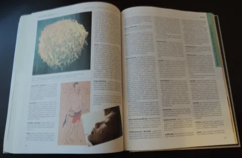 Ilustrovaná encyklopédia ľudskej vzdelanosti — fotka 4