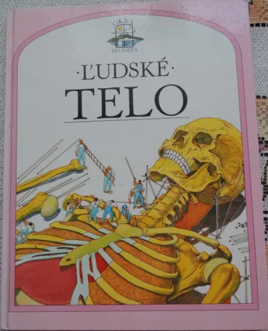 Ľudské telo