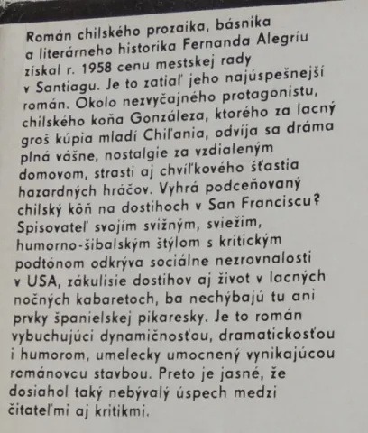 Dostihový kôň — fotka 2