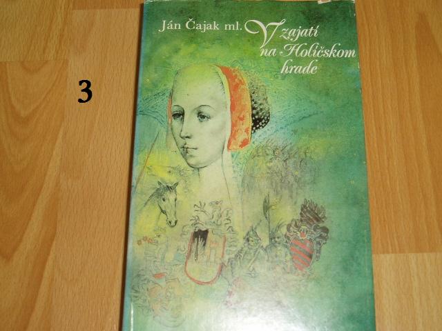 V zajatí na Holíčskom hrade
