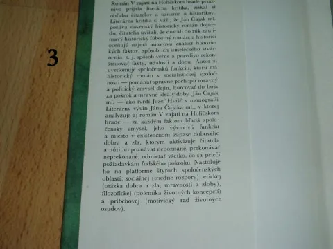 V zajatí na Holíčskom hrade — fotka 2