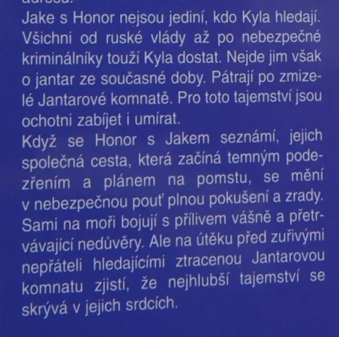 Jantarová pláž — fotka 3