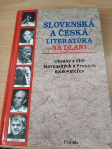 Slovenská a česká literatúra na dlani