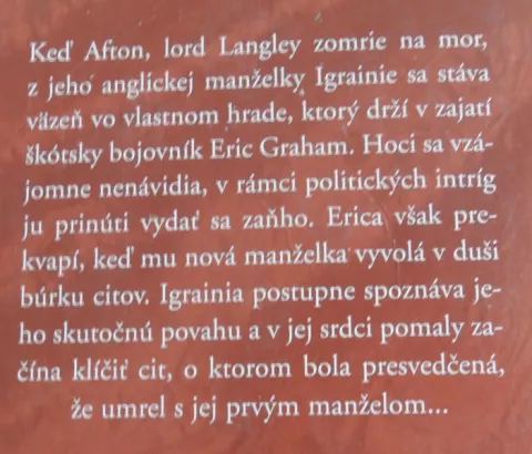 Víťazný rytier — fotka 2