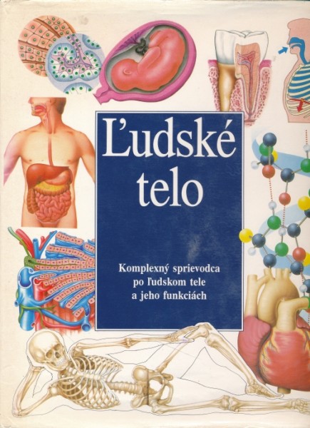 Ľudské telo