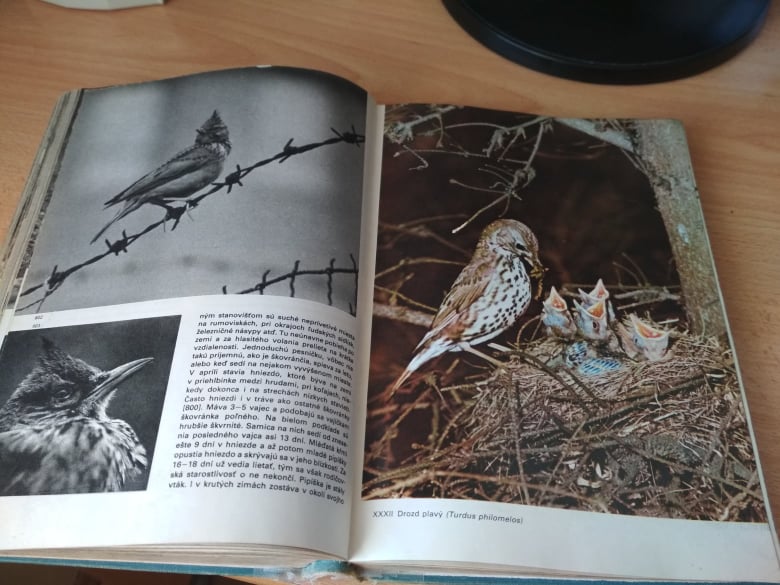 Veľký obrazový atlas vtákov