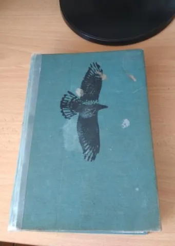 Veľký obrazový atlas vtákov — fotka 3