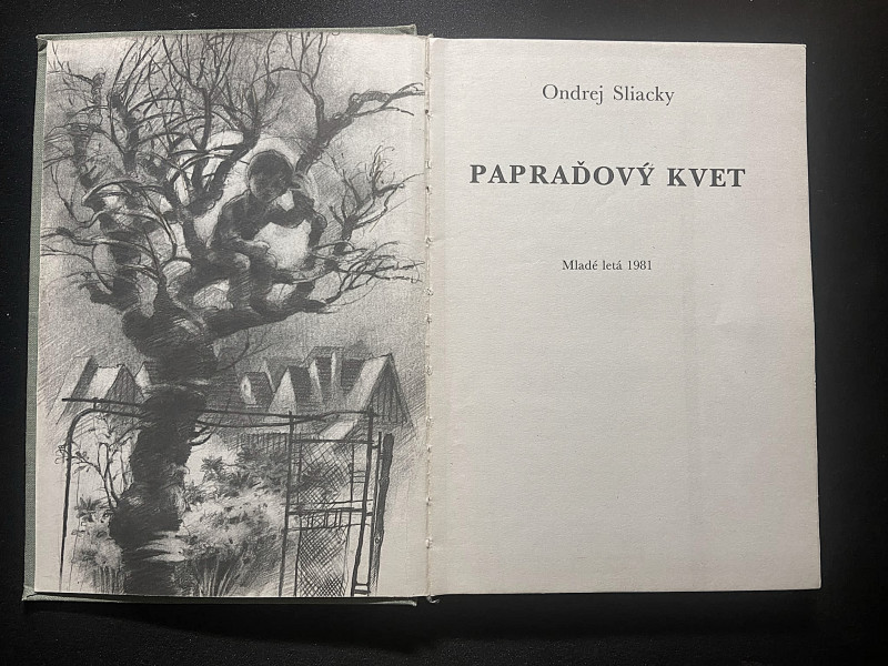 Papradovy kvet