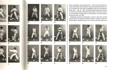 ZÁKLADY SEBAOBRANY KARATE--rok vydania 1985 — fotka 4