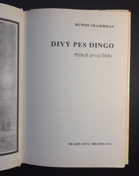 Divy pes Dingo