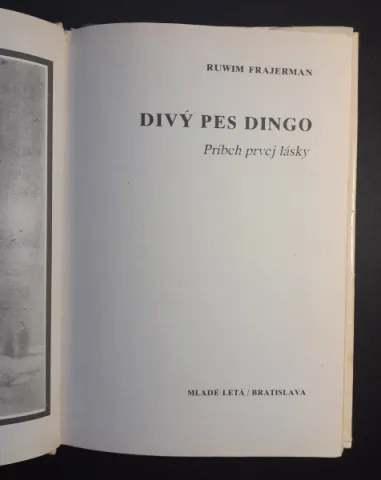 Divy pes Dingo