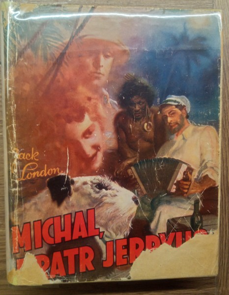 Michal, bratr Jerryho