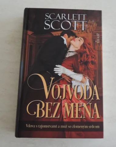 Vojvoda bez mena