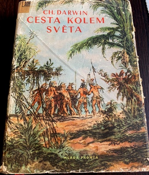 Cesta kolem sveta