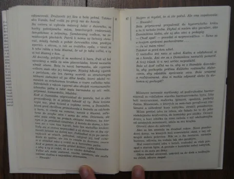 Hriešnikov návrat — fotka 2