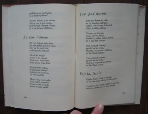 V šírom poli studienečka — fotka 2